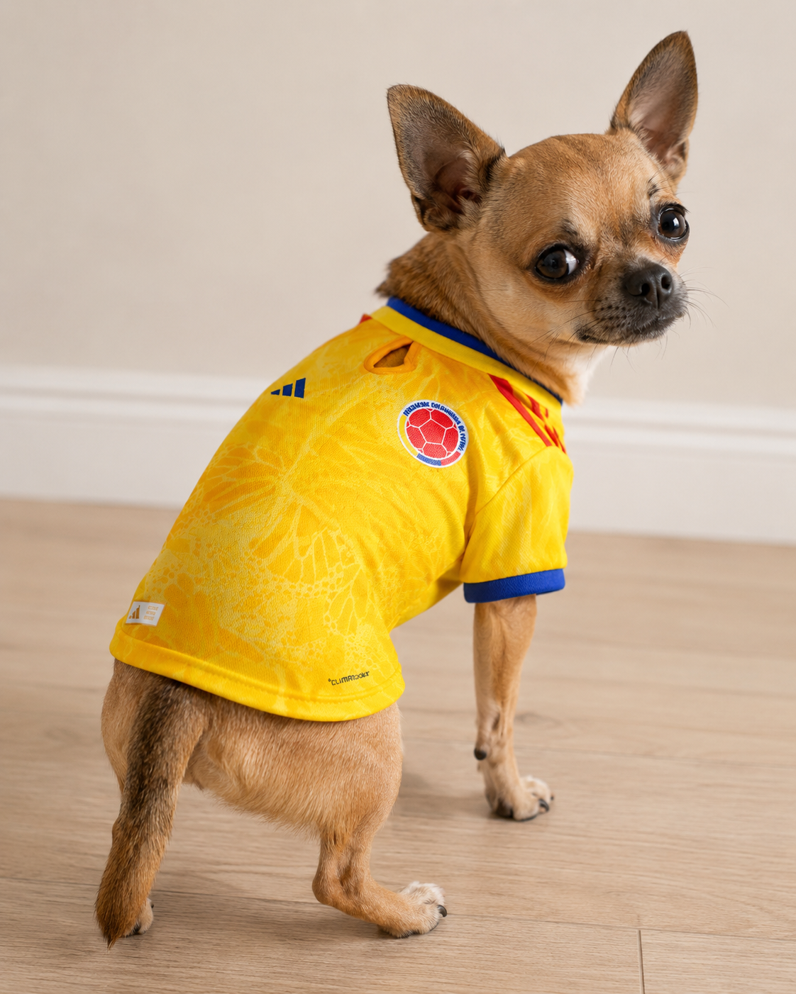 Camiseta Deportiva para Perro